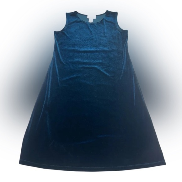 Elegant Queen Blue Sleeveless Stretch‎ Velvet Dress by Susan Graver - Picture 3 of 10